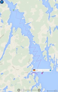 marinetraffic_capture_resized_4